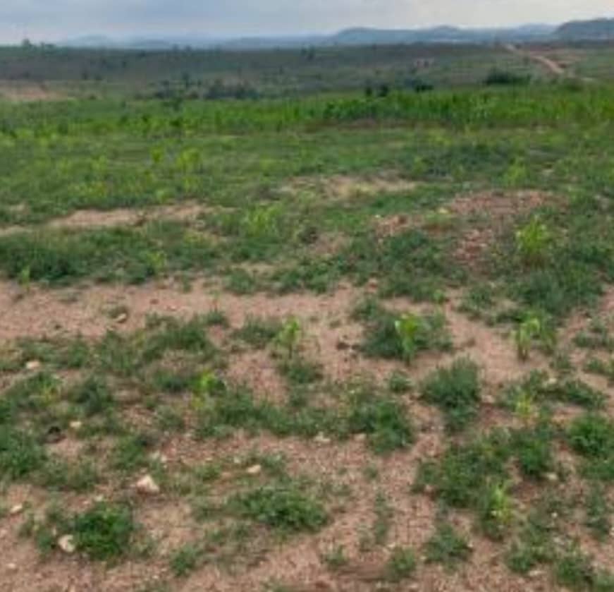 492sqm Residential Plot For Sale In Maitama 2
